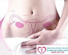 Vì sao nữ giới bị rong kinh?