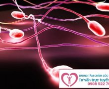 Điều trị xuất tinh ra máu như thế nào?