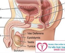 Địa chỉ khám chữa viêm đường tiết niệu ở đâu tốt nhất Bình Dương ?