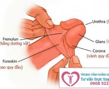 Làm sao để có thể tuột bao quy đầu?