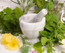 Chữa bệnh sùi mào gà bằng thuốc nam