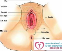 Sưng âm vật do đâu và cách chữa như thế nào?