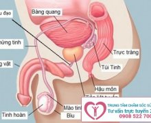 Đau tinh hoàn - dấu hiệu của nhiều bệnh lý nguy hiểm