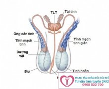 Nguyên nhân và triệu chứng giãn tĩnh mạch thừng tinh