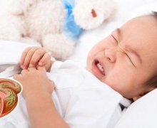Tìm hiểu chi tiết về giun đũa - bệnh giun sán phổ biến nhất