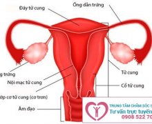 Mức độ nguy hiểm của viêm phần phụ