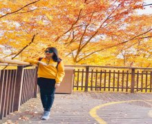 MÙA ĐÔNG Ở NHẬT BẢN HAY HÀN QUỐC LẠNH HƠN