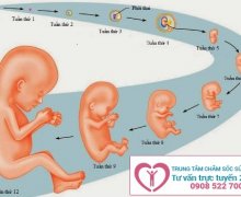 Thai 3 tháng tuổi có phá được không?