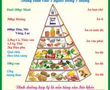 Tháp dinh dưỡng cân đối từ Viện dinh dưỡng - Bí quyết sự khỏe mạnh trẻ đẹp