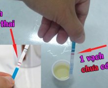 Thử thai 2 vạch nhưng vẫn có kinh - Tư vấn sức khỏe sinh sản online