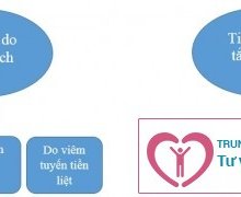 Bạn biết gì về chứng tiểu đau?