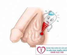 Vì sao tinh hoàn nổi hạch?