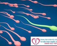 Tinh trùng xanh là dấu hiệu của bệnh gì và cách điều trị ra sao?