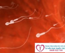 Những biểu hiện của tình trạng tinh trùng yếu