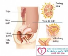 Đi tiểu ra nhiều bọt có sao không?