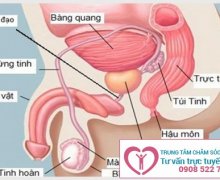 Dấu hiệu nhận biết của bệnh viêm ống dẫn tinh