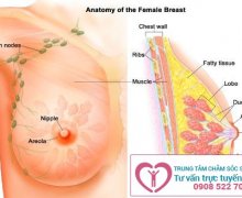 Viêm tuyến vú gây ra nhiều nguy cơ