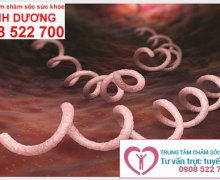 Quá trình phát triển của xoắn khuẩn giang mai